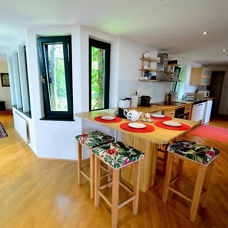 Green Haven Roofgarden Penthouse In Central Area Vienna Luaran gambar